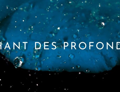 Aqua-Tantra ®-« le chant des profondeurs, lenteur et suspension » – du 7 au 10 décembre 2023