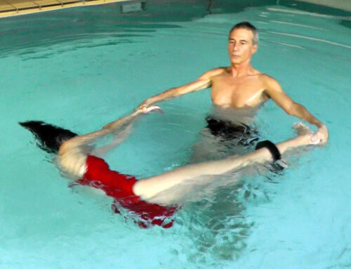 Week end d’intégration Underwater Healing Dance-21 au 23 août 2024